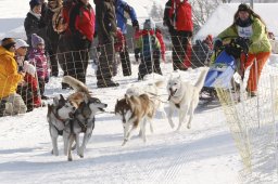Lenk 2012 SM